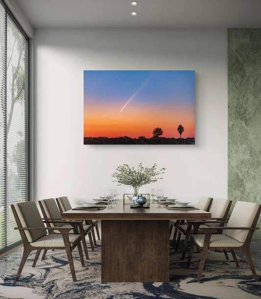 THE COMET OF THE CENTURY