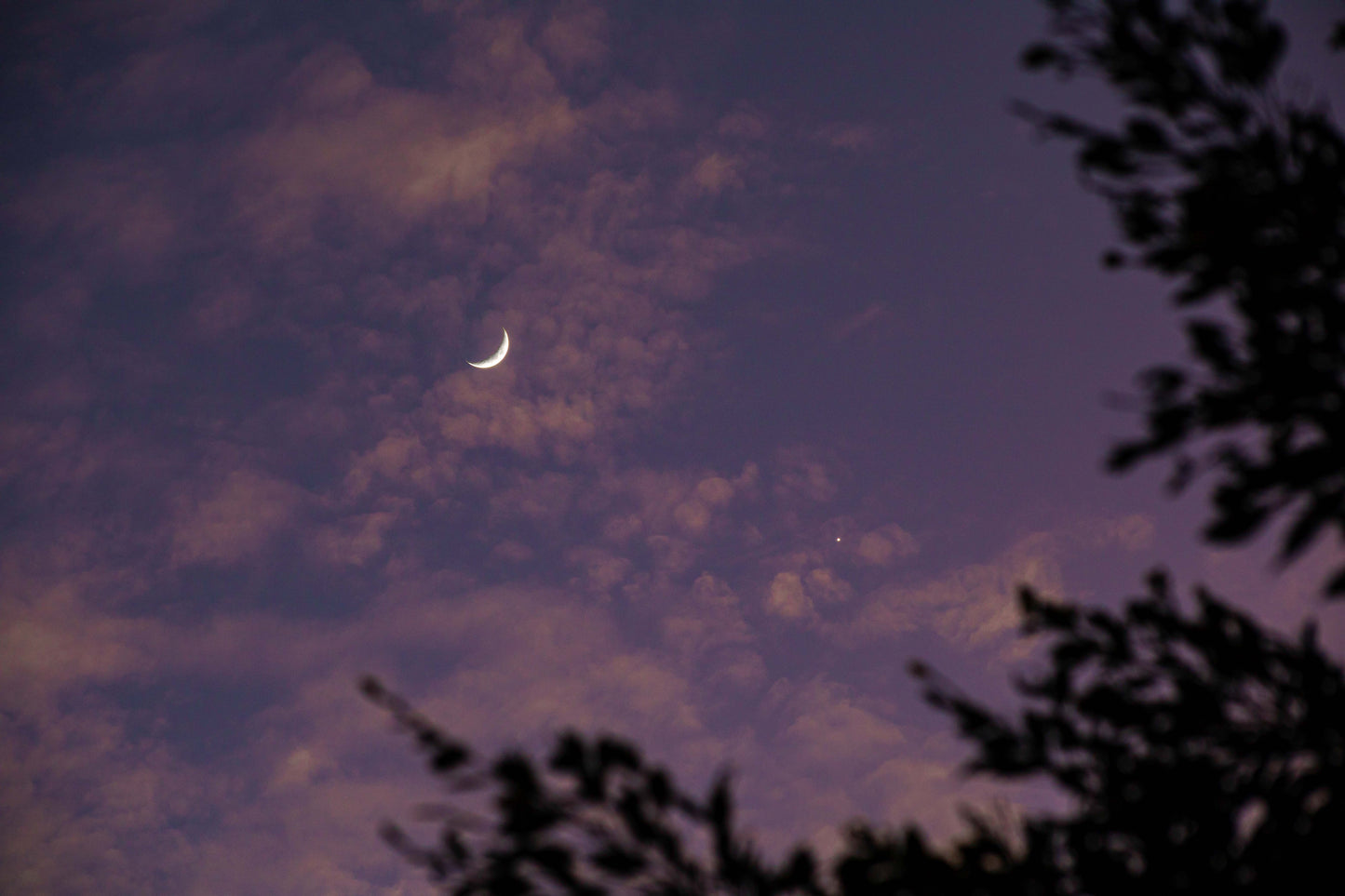 A CONVERSATION BETWEEN VENUS AND THE MOON