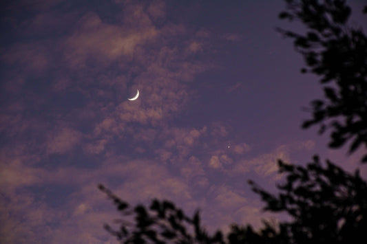 A CONVERSATION BETWEEN VENUS AND THE MOON