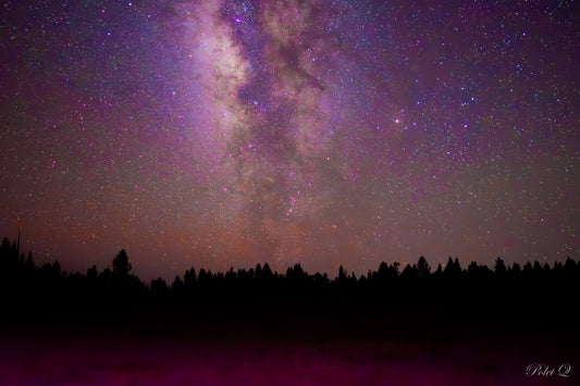 CELESTIAL SILENCE