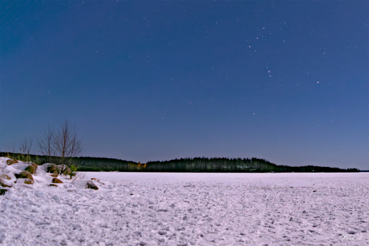 ORION