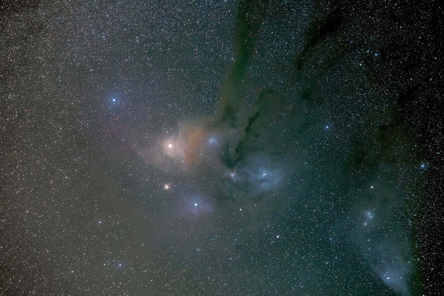 STELLAR NURSERY