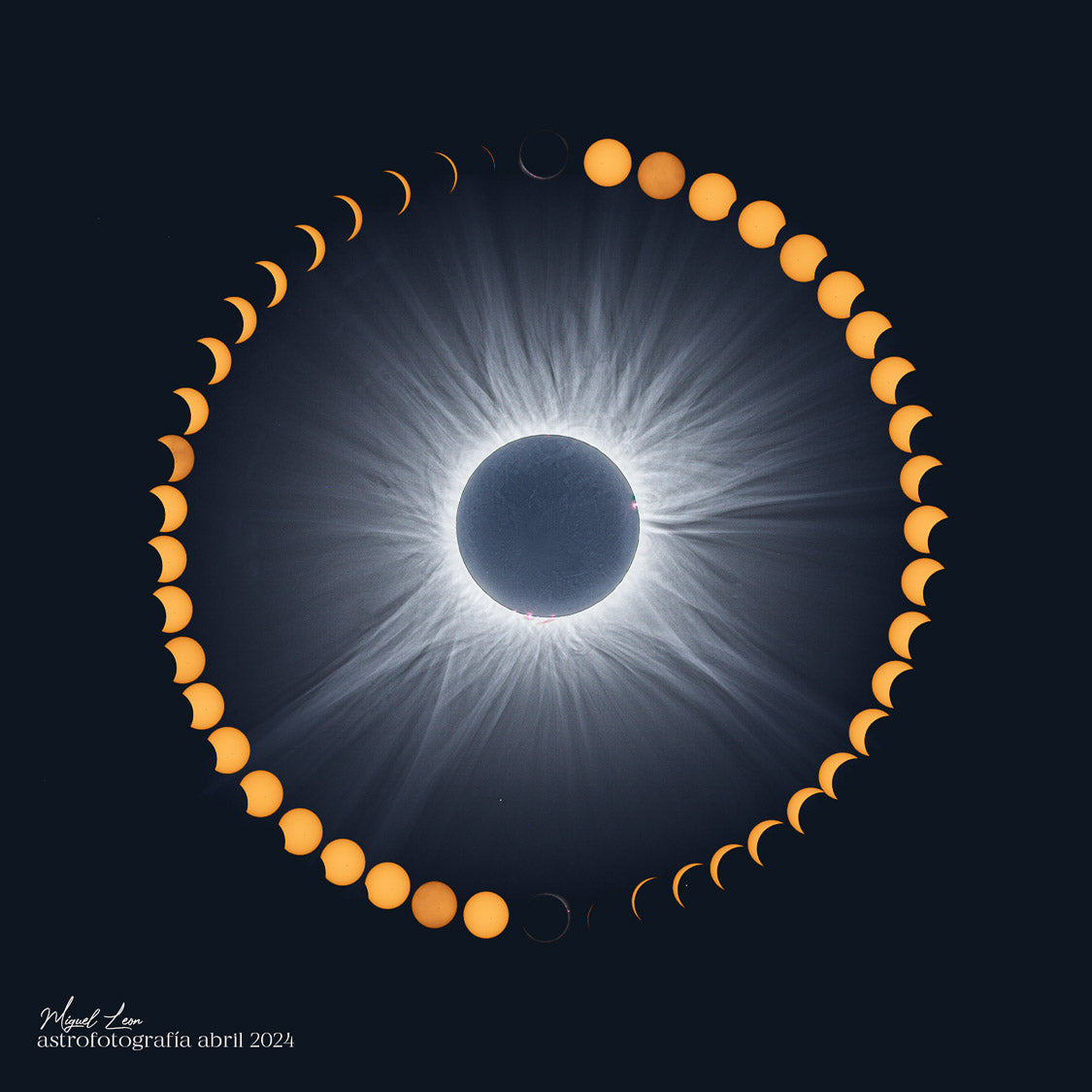 THE PATH OF WHOLENESS
