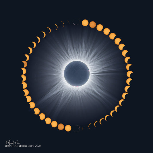 THE PATH OF WHOLENESS